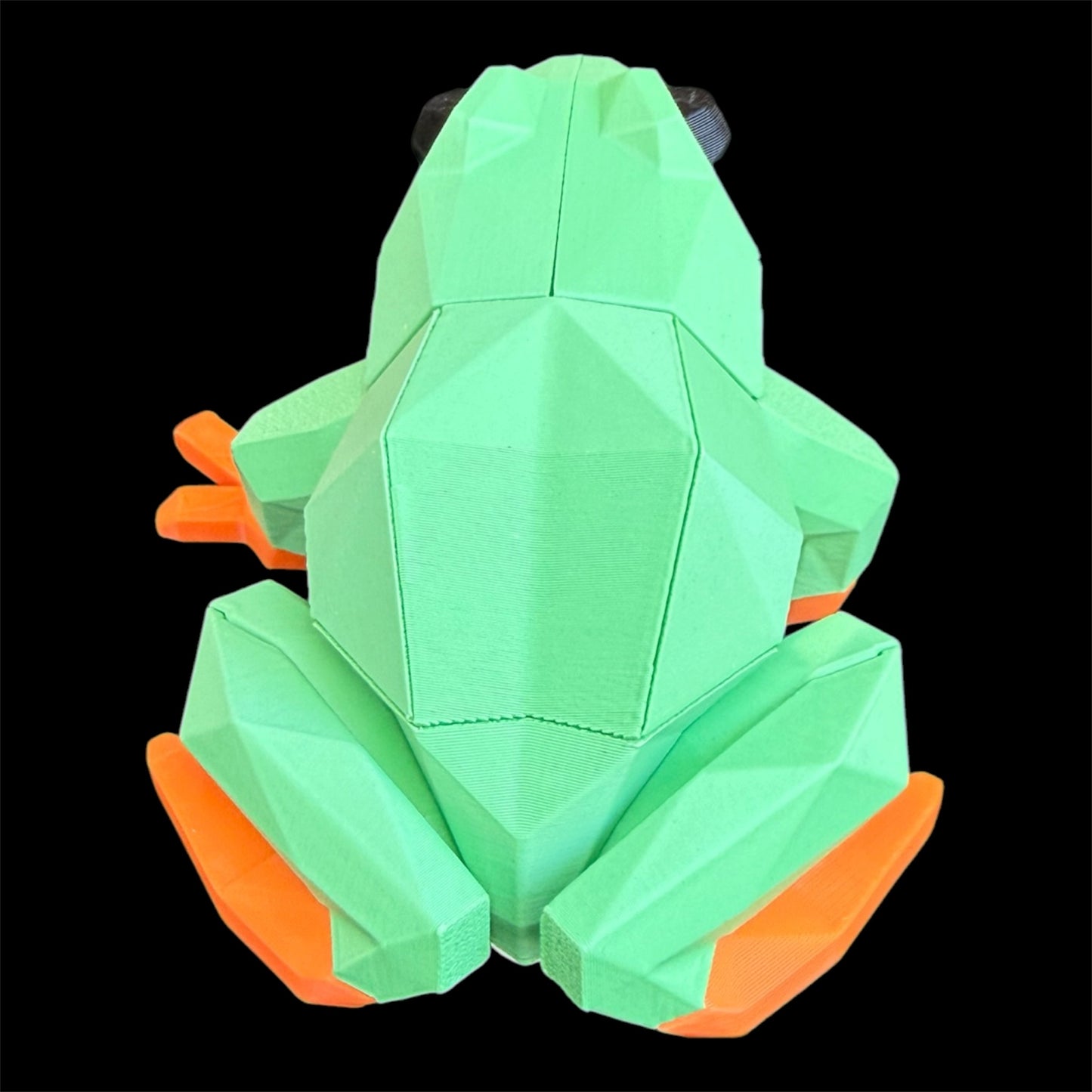 Frog Magnetic Puzzle