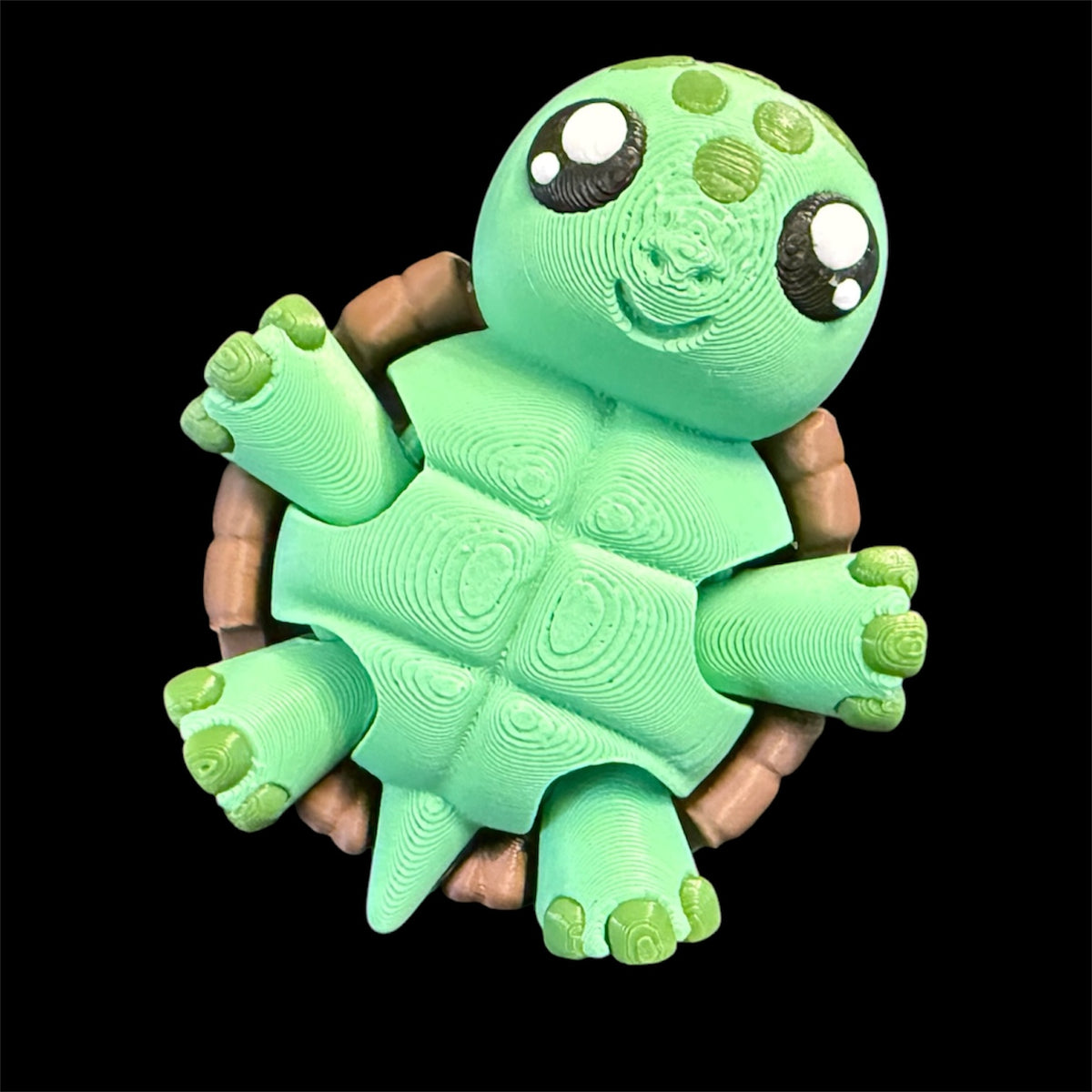Clicky Turtle Fidget