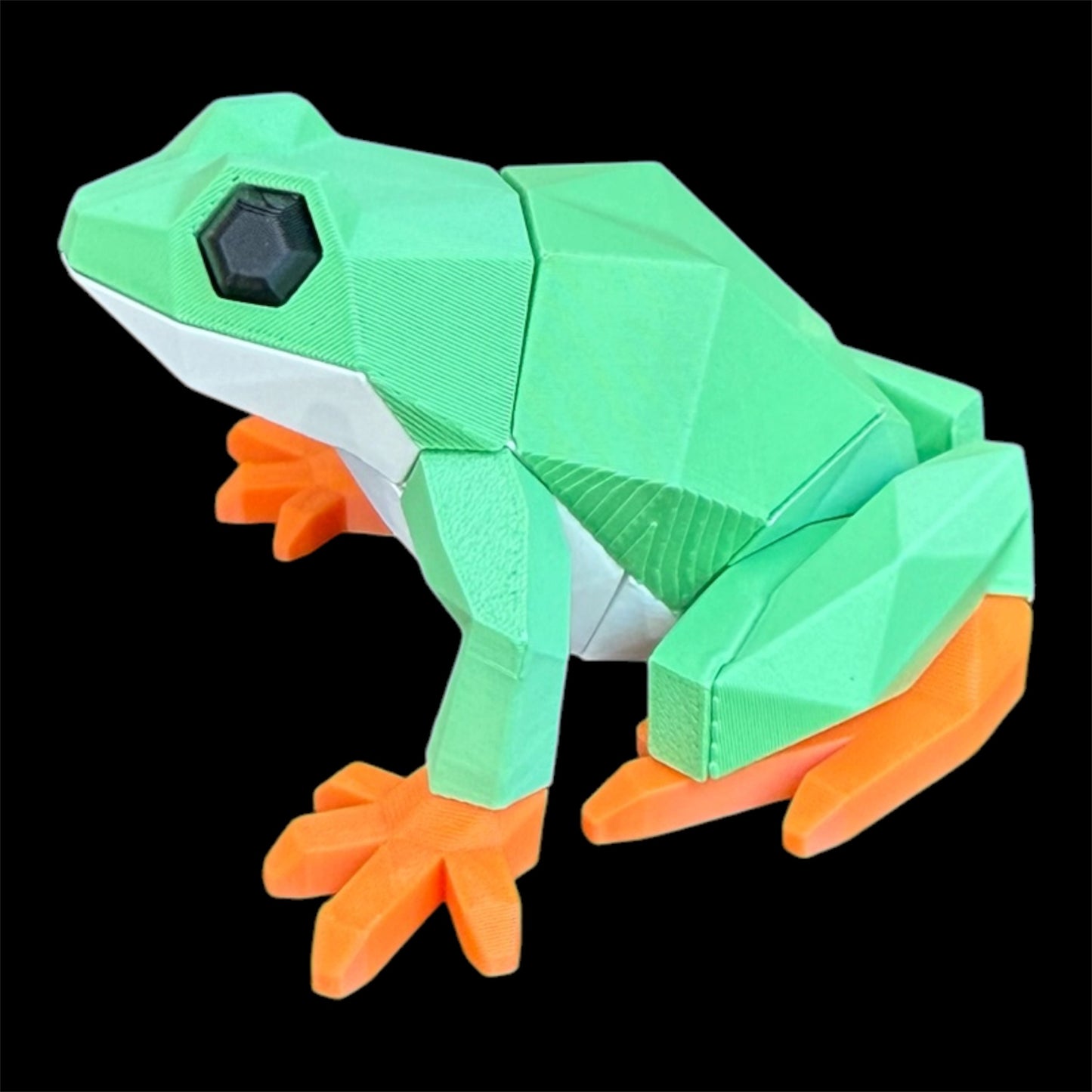 Frog Magnetic Puzzle