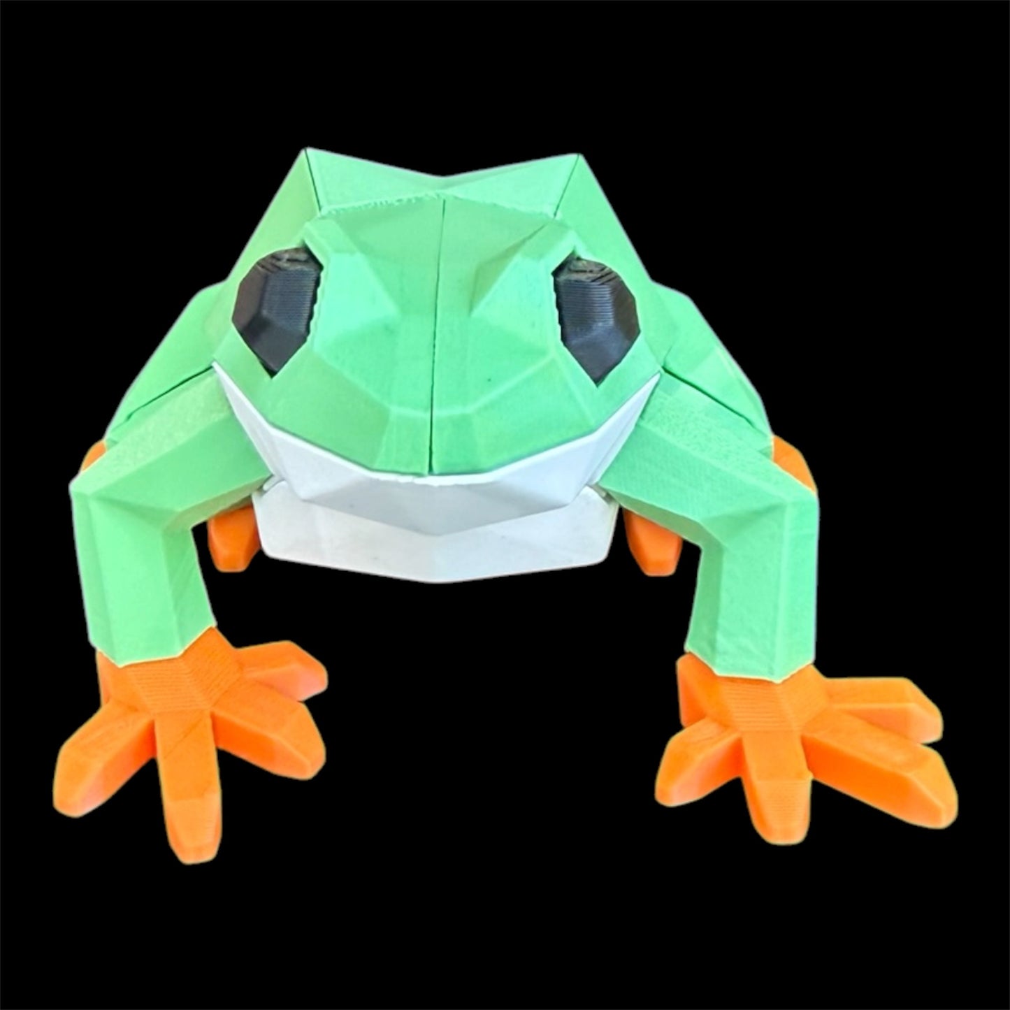 Frog Magnetic Puzzle