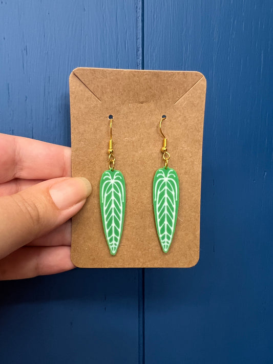 Anthurium Warocqueanum Earrings