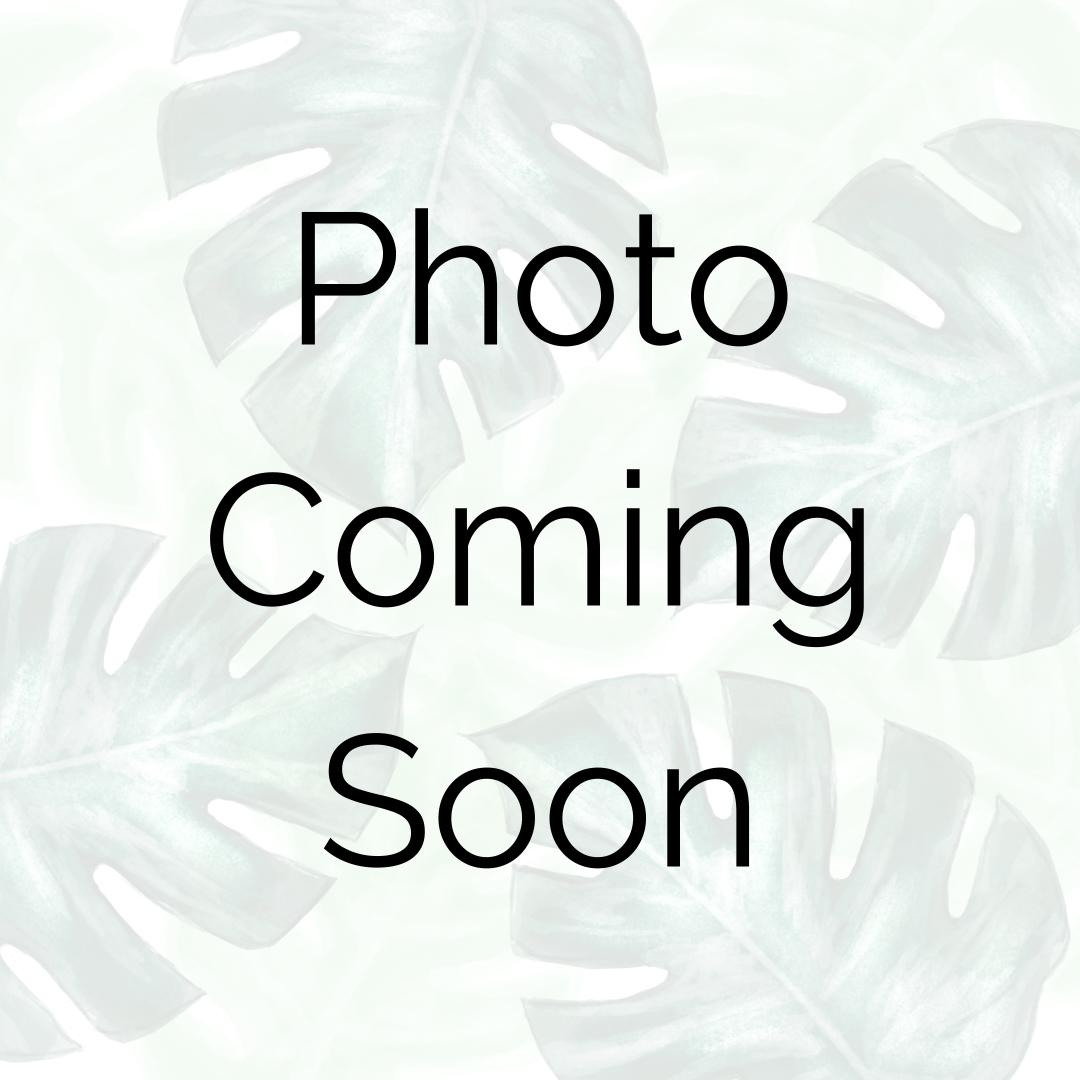 Placeholder image with the text 'PHOTO COMING SOON' indicating that the actual product image is not yet available.